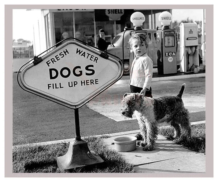 Dogs Fill Up Here - VINTAGEARTREPRINTS.COM