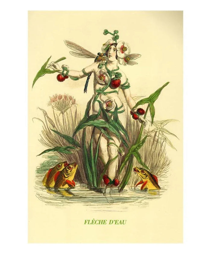 Fleche d'Eau - VINTAGEARTREPRINTS.COM