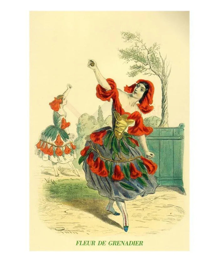 Fleur de Grenadier - VINTAGEARTREPRINTS.COM
