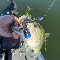 Geecrack Baobab Hog Ex Craw 97
