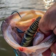 Geecrack Bellows Gill 5.8"