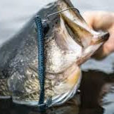 Googan Squad Blazin Worm 6.5"