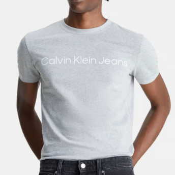 Institutional Logo Slim Tee (Calvin Klein)