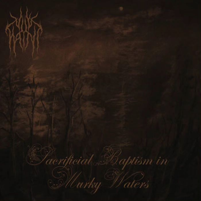 VILE HAINT - SACRIFICIAL BAPTISM IN MURKY WATERS LP