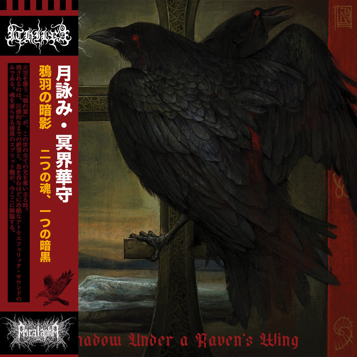 GOATOWA 5- WAXGOAT194 Ascalapha/Ithilrå (USA) - Shadow Under a Ravens Wing - LP (Red Vinyl)
