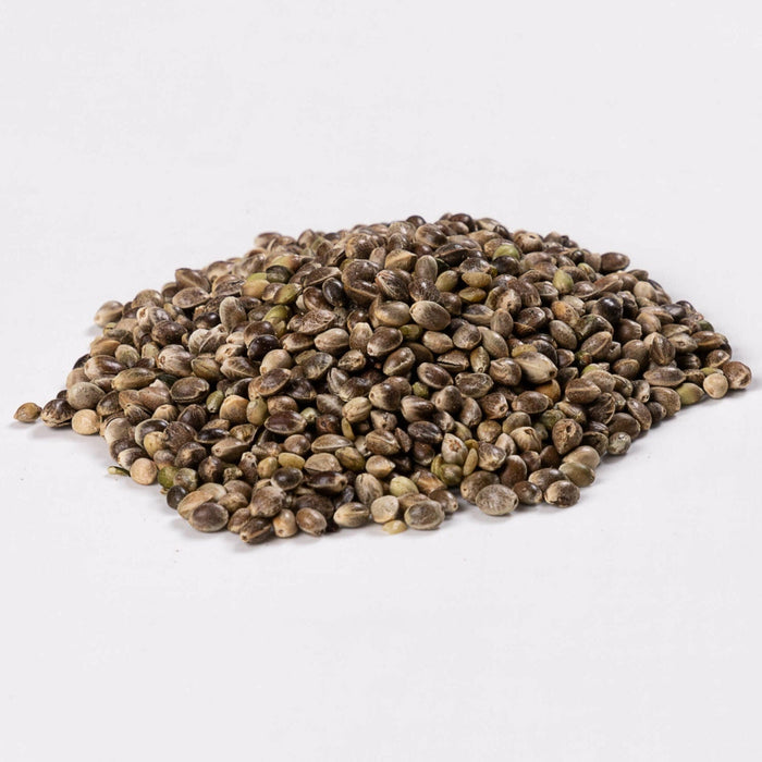 Lunker Hempseed