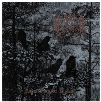 Törnen - Under korpens visdom LP