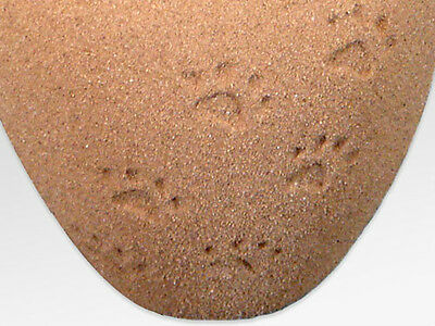 Mini Biodegradable Oceane Sand and Gelatin Funeral Cremation Urn, Eco-friendly