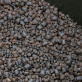 Monster Carp Oil Coated Sinking Pellets