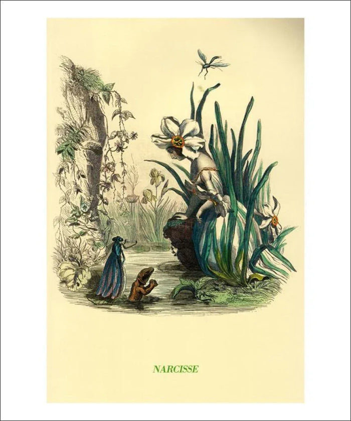 Narcisse - VINTAGEARTREPRINTS.COM