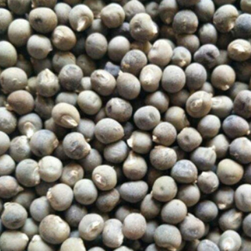 Okra Seeds