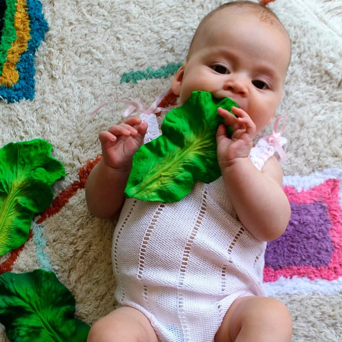 Oli & Carol Kendall Kale Natural Teether