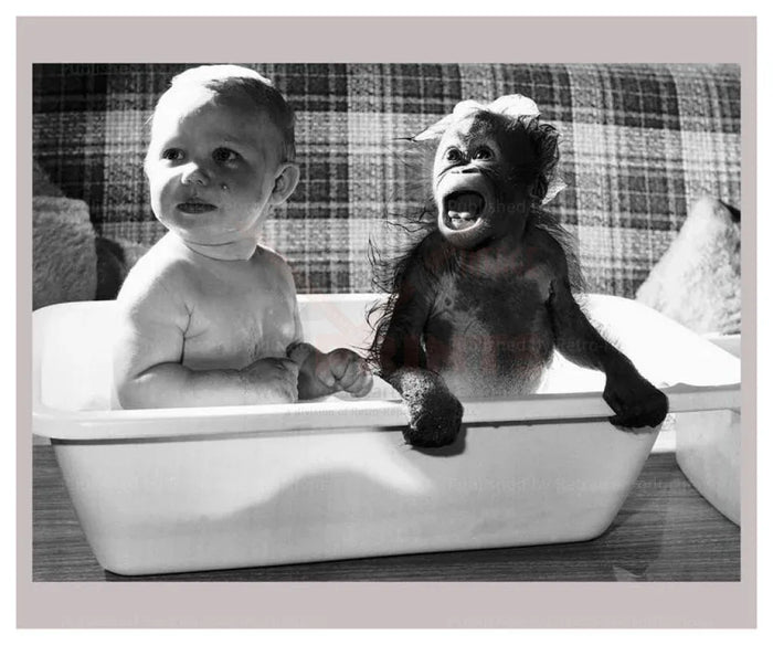 Orangutan Bath - VINTAGEARTREPRINTS.COM