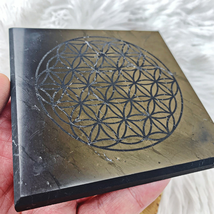 Shungite Plate (Tree of Life & Flower of Life) - The Bead N Crystal & Enclave Gems